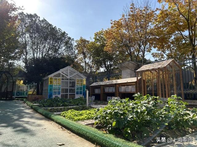 奉浦校园初冬美景大赏，你家娃的学校藏着这样的冬日浪漫