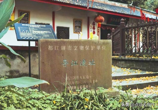 成都这5大千年银杏，超级惊艳，其中一株相传是杨贵妃种植！