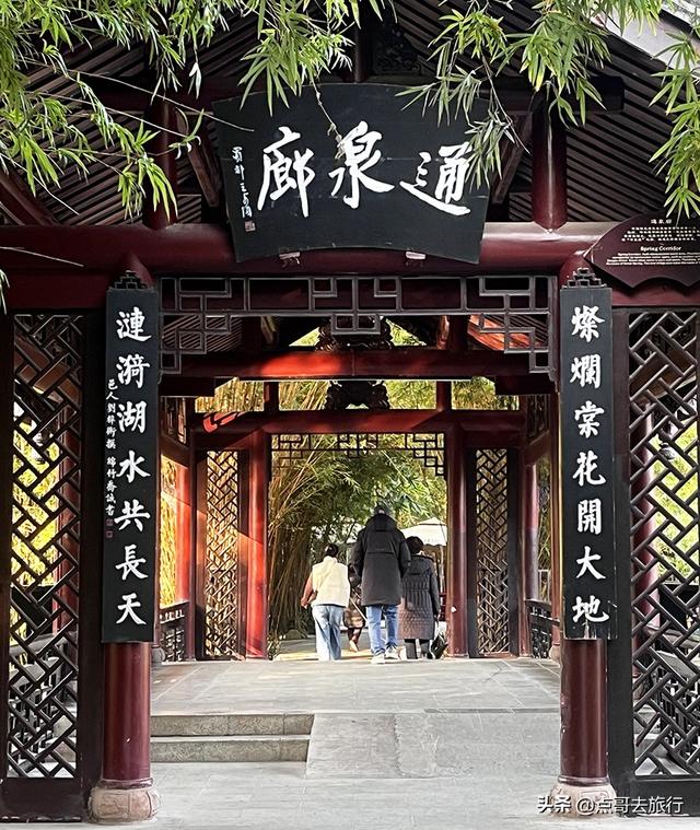 成都被私藏的彩林公园，流金溢彩，充满老城烟火气，地铁公交直达