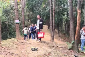 南昌“最亲民”的登山步道，树根当梯步略显寒酸，大人小孩玩得嗨图片