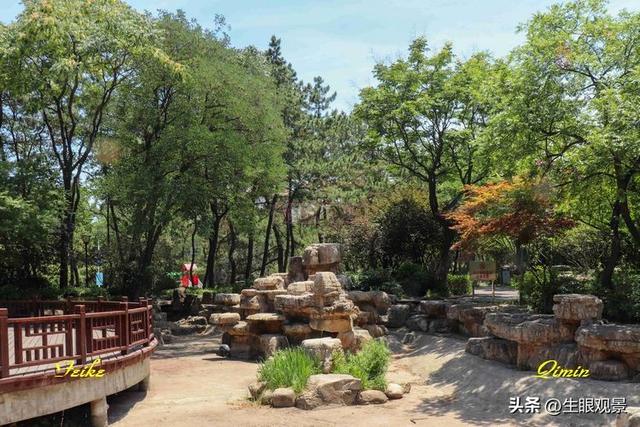 影记 | 青岛李沧文化公园掠影