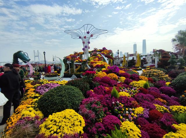 人从众菊花展VS男厕被沦陷