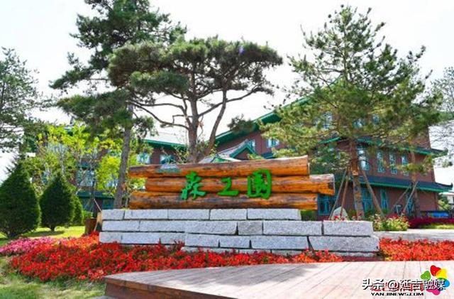 “绿美延吉”绘就城市美丽画卷