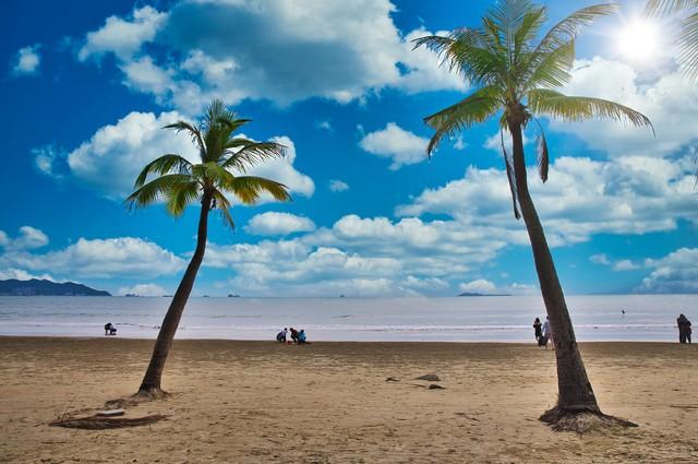 黎述盛：三亚冬野递景图