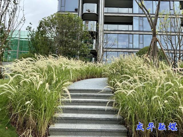 “家门口”又添好去处！这座公园即将开放| 成华融媒