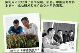 追忆“共和国勋章”获得者袁隆平：把对祖国的热忱结成饱满的稻穗图片
