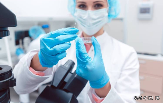 美国又泄露病毒？有3只实验猴逃跑，携带新冠多种病毒	，疑点重重