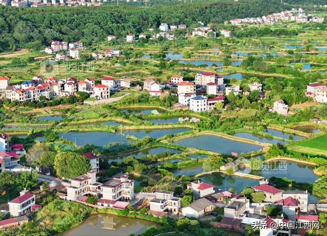 泰和：生态田园风景如画