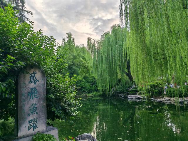 济南趵突泉游记（一）（旅游攻略）