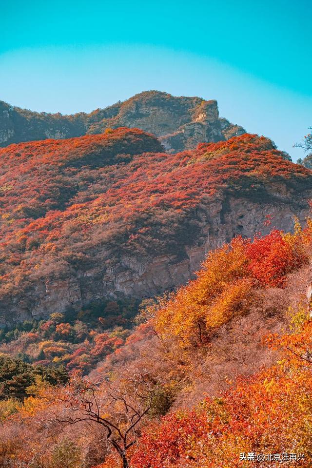 就像万山红，十五五明确了，先富带后富，实现共同富裕