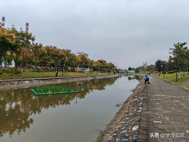 云梦生态浮岛的三重奏