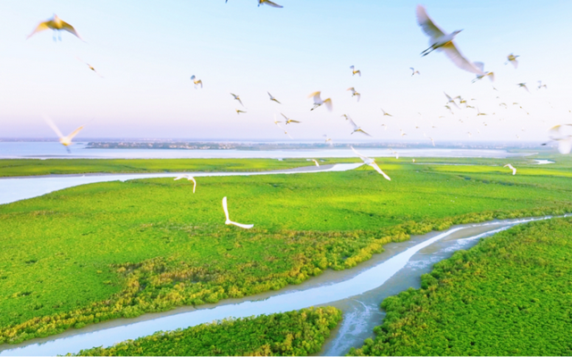 海口康养之旅，我会选择从自然疗愈与温泉养生开始