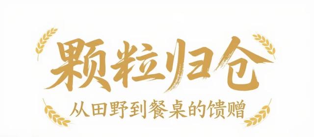 我愿称之为高原 “ 最盛大的秋景 ” ！