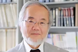 一天一顿饭，有科学家发现：饥饿时细胞会吃掉自己图片