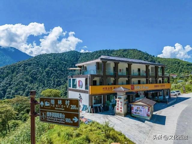 甲子西藏·文旅新章 | 十年蝶变，墨脱绽放旅游富民新画卷