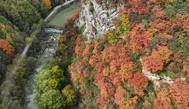 这才是秋天该有的样子~