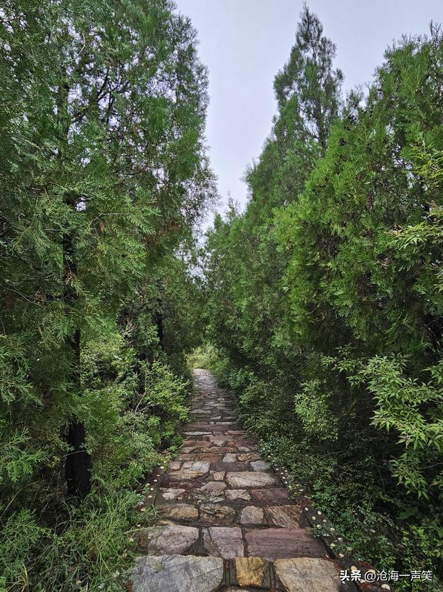 向大山出发，探索大山的奥秘，享受大山的氧吧，观赏大山的美景