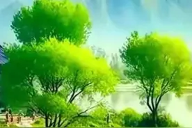 人老了，只有2个方法最能保护自已，就是少说话，少管闲事。图片