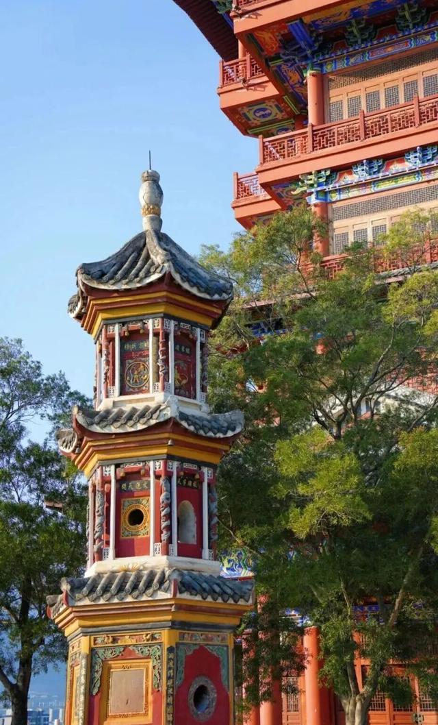 比西昌人少，比昆明更近！高铁直达20℃小众春城，赏花摘果泡温泉！3元草莓吃到撑~