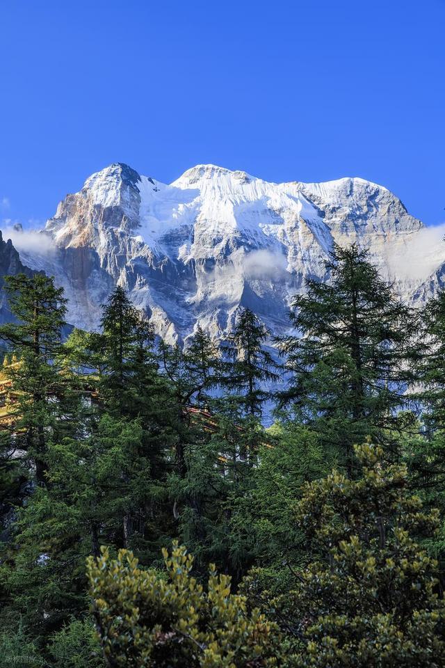 收藏！国内5个省对60岁老人实行景区免票政策，60岁退休旅游必看