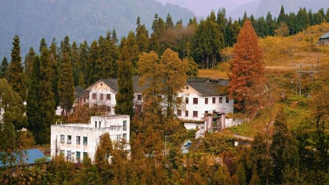 去邛崃！赴一场暖阳与山间的私语