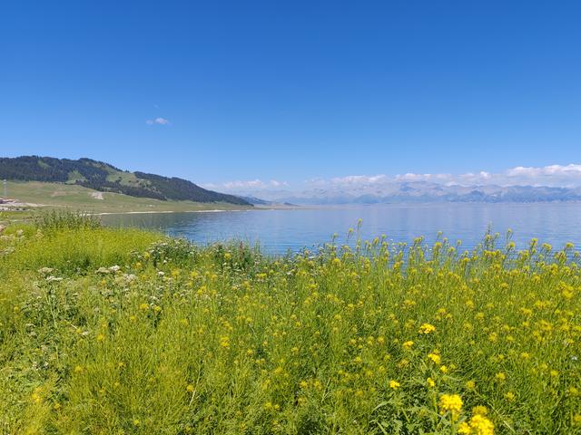 北疆行⑮——环游赛里木湖（下）