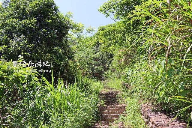 浙江绍兴发现一个森林公园，3条古道犹如绿野仙踪，成为徒步胜地
