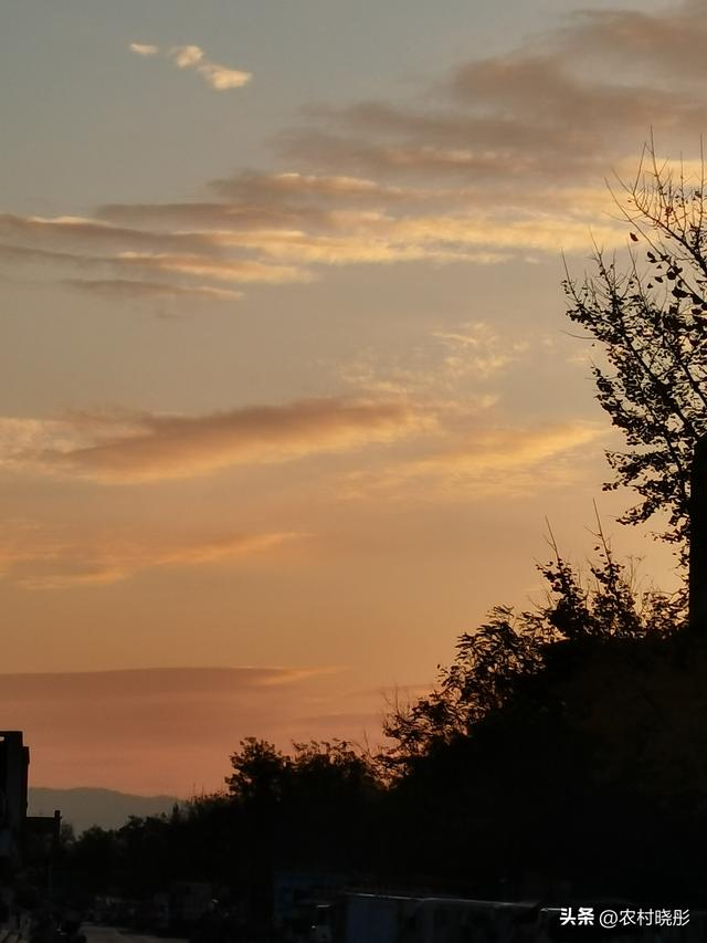 明日小雪！老话“小雪不下雪，大雪满天飞”，冷冬暖冬？答案来了