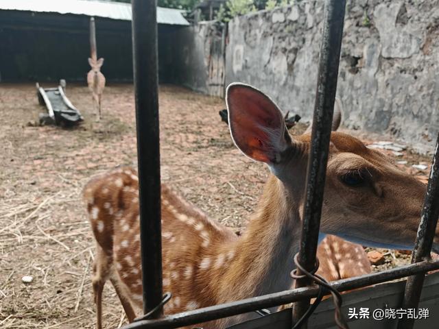 东北避暑游长白山站 山上雨大雾大人发抖 天池就是一个美丽的传说