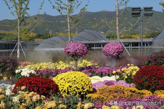 【花漾植物园】太原植物园国庆中秋花卉展，邀您共赴秋日花海盛宴！