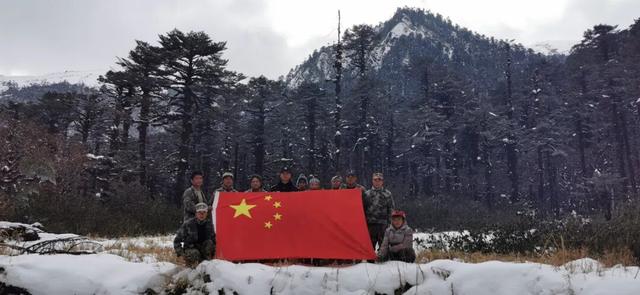 比格林童话更美！墨脱这个村坐拥雪山茶园秘境