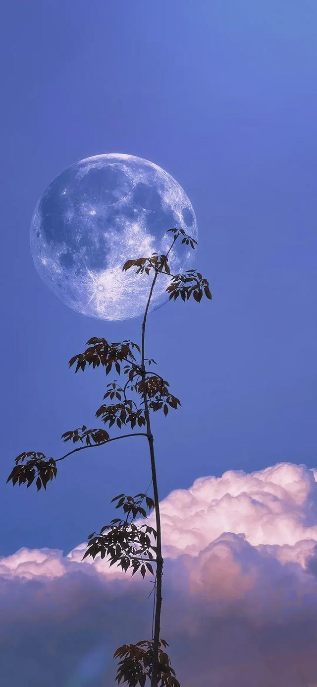 手机壁纸|国庆假期，欣赏美丽的自然风光