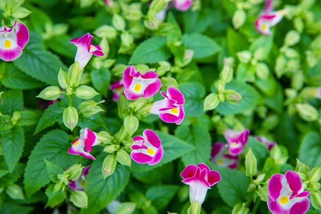 2025恋爱指南：甜到掉牙的情侣“新姿势”大揭秘