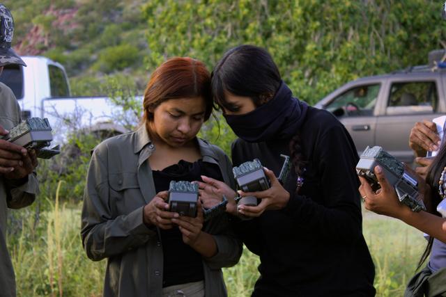 墨西哥岛屿呼唤救援：失去帝王蝶和吸蜜蝠，餐桌会发生什么？