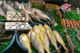 核污水排海一事，日本做出让步，与中国达成共识，水产品将解禁？图片