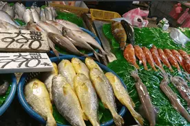 核污水排海一事，日本做出让步，与中国达成共识，水产品将解禁？图片