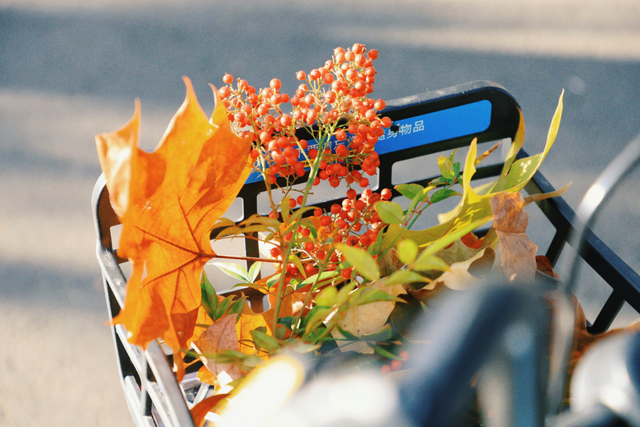 我拼了个“秋”！