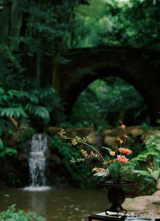 本周“寻爱地图”抢先看：在中岩邂逅初恋 于汉阳书写烟火