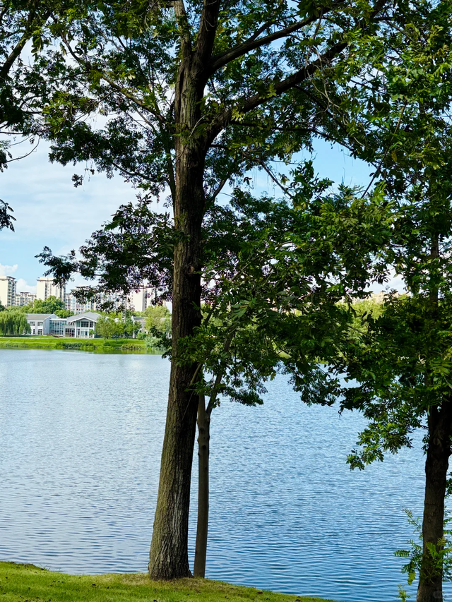 成都这个公园胜过绕城绿道，含氧量达100%，地铁3号线直达！