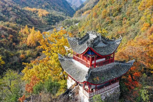 赏秋正当时！自驾来汉中，赴一场秋日视觉盛宴~