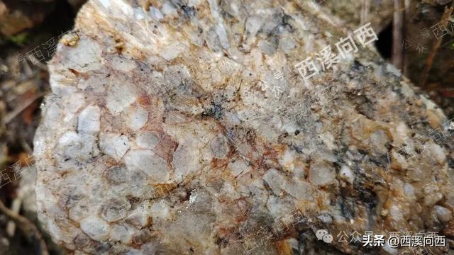 全程超150站,挑战临安最长公交通行线