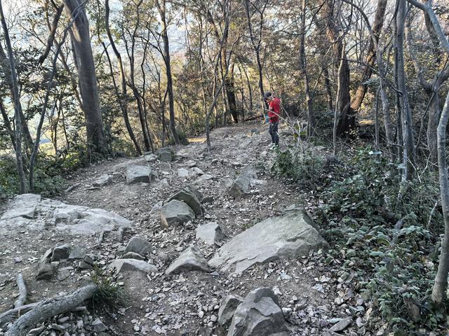 南京紫金山郊野徒步