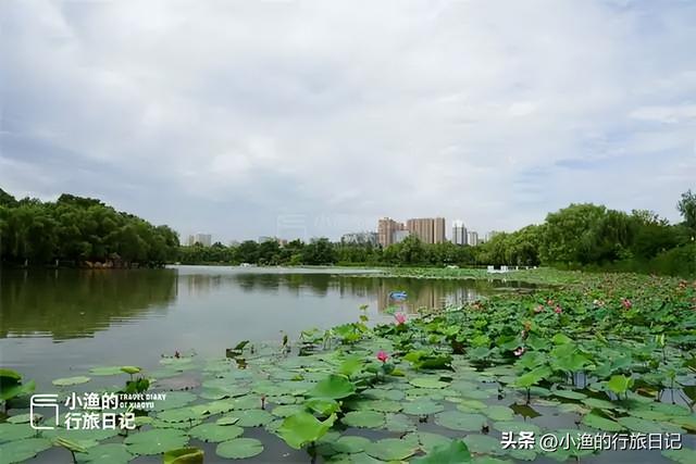 西安闹市有座“蓬莱岛”，曾是皇帝赏景胜地，如今依然仙气飘飘
