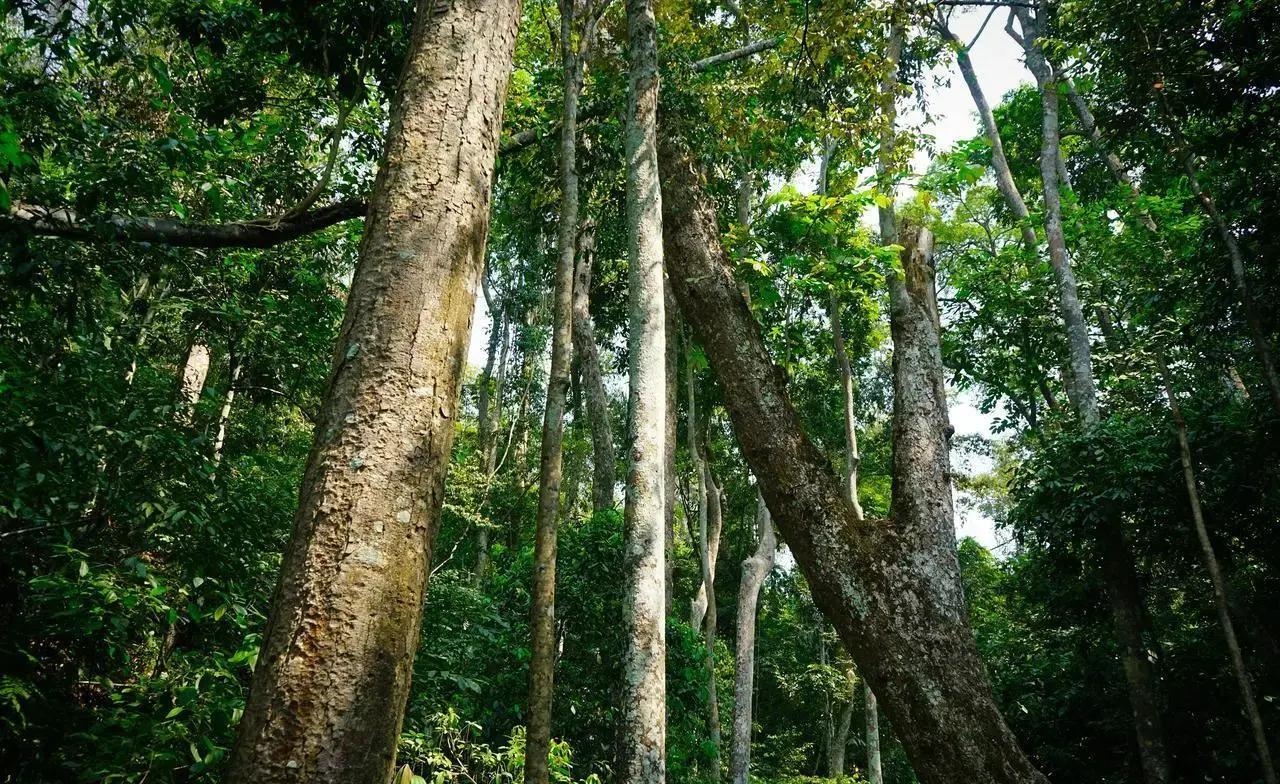 图片关键词 图片关键词