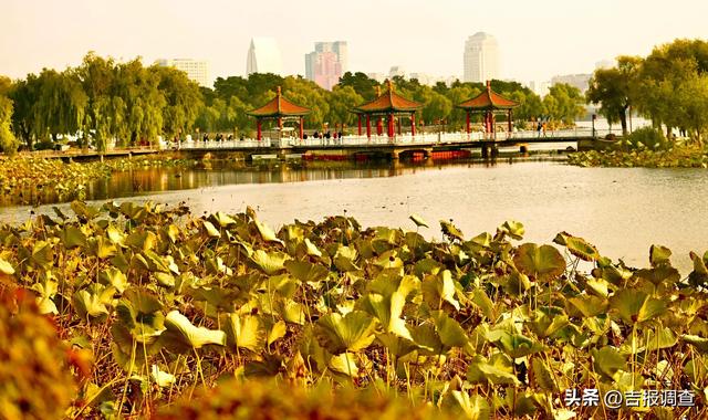 秋之彩色吉林 | 层林尽染、残荷含韵，治愈系秋景别错过！