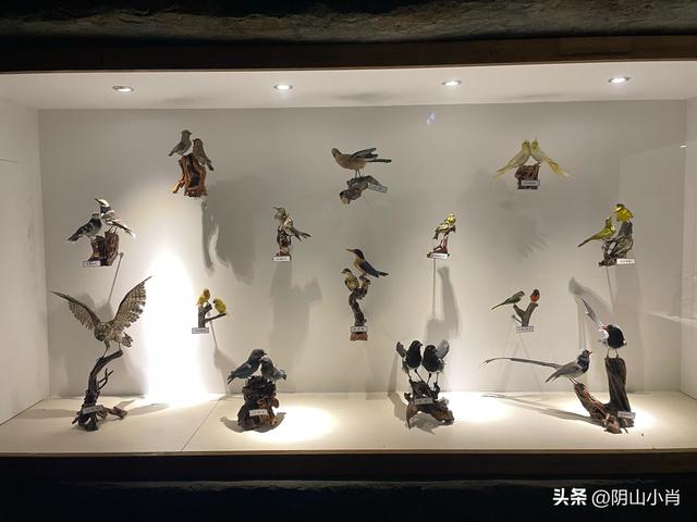 呼和浩特市托克托县田野考察笔记