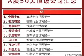 中国10大世界第一的公司、50大全球顶级科技公司名单出炉！图片