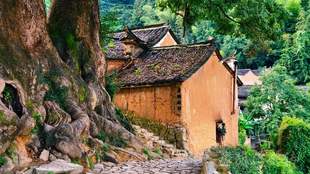 皖浙摩旅二人转——松阳杨家堂篇（下）