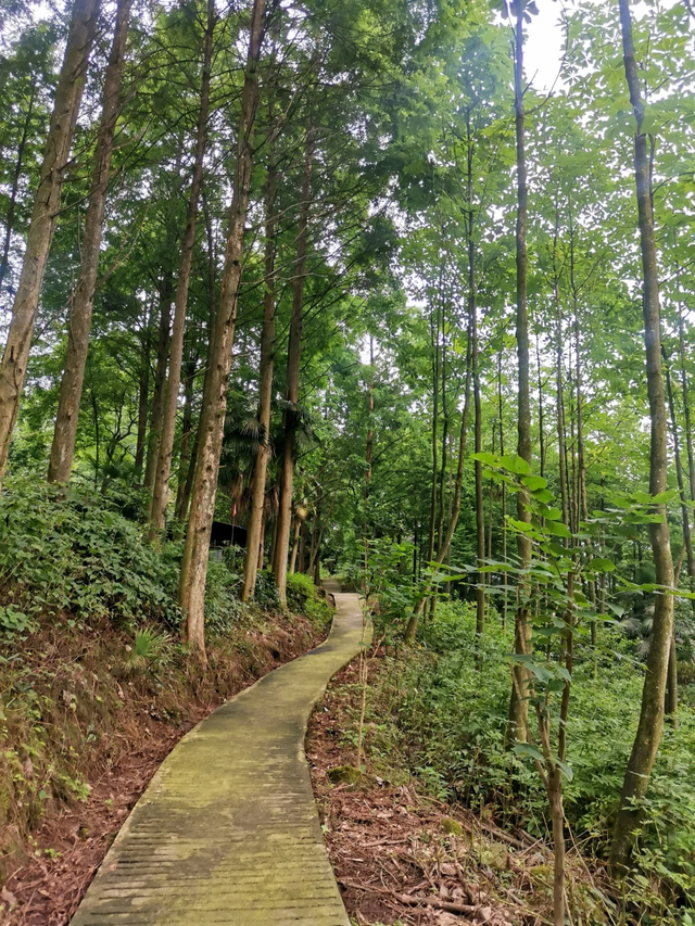 私藏分享||成都1.5h清凉不晒宝藏地，耍水徒步，人少水清！