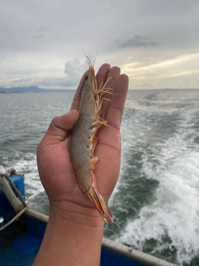 暑假最后半个月，如何旅行，才不留遗憾？